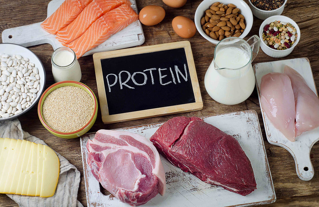 Why protein is important